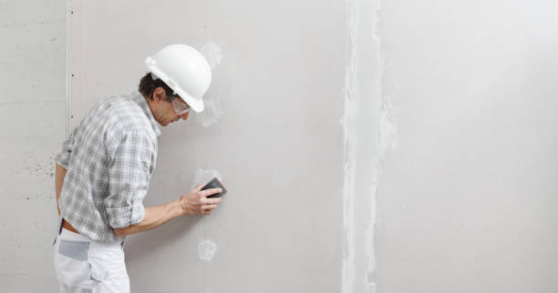 Best Expert Drywall Texturing  in Chisholm, ME